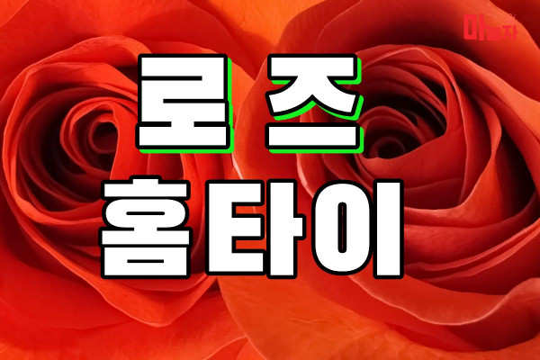 (경기/하남시) 출장마사지 출장안마 로즈홈타이 