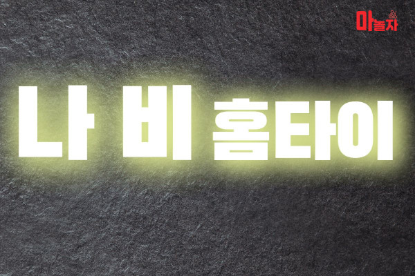 (경기도/안성시) 출장마사지 출장안마 나비홈타이 